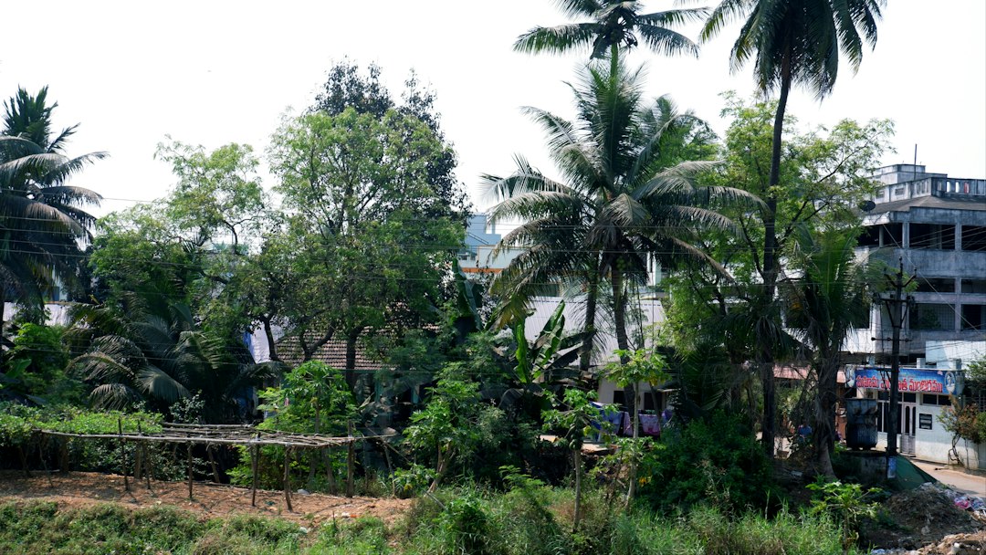 Andhra Pradesh Teacher recruitment 2027-28