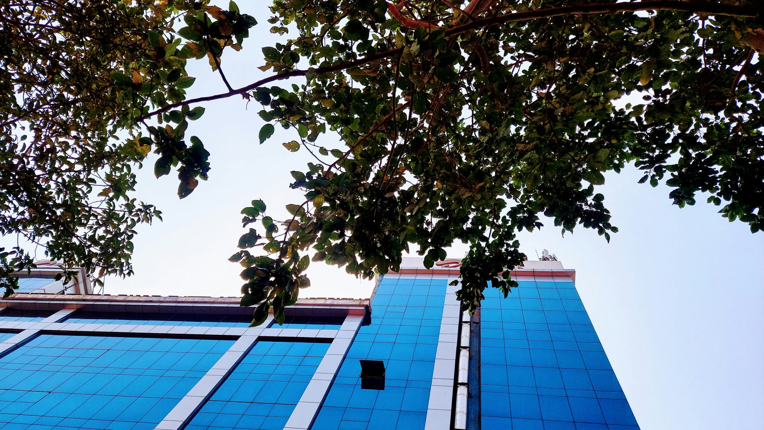 Bihar Public Service Commission BPSC building for TRE 4.0 Recruitment 2026