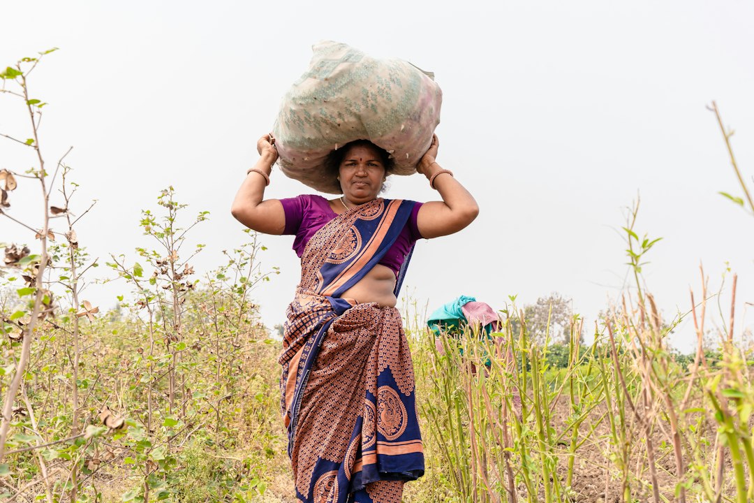 Cotton Corporation of India Recruitment 2027-28 featured image