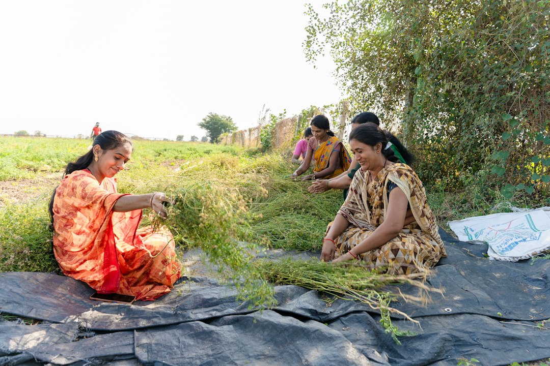 North Eastern Regional Agriculture Marketing Recruitment 2027-28 featured image