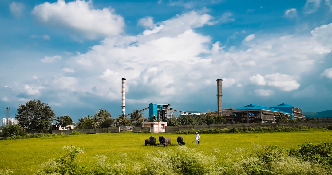 Public sector recruitment and industrial jobs