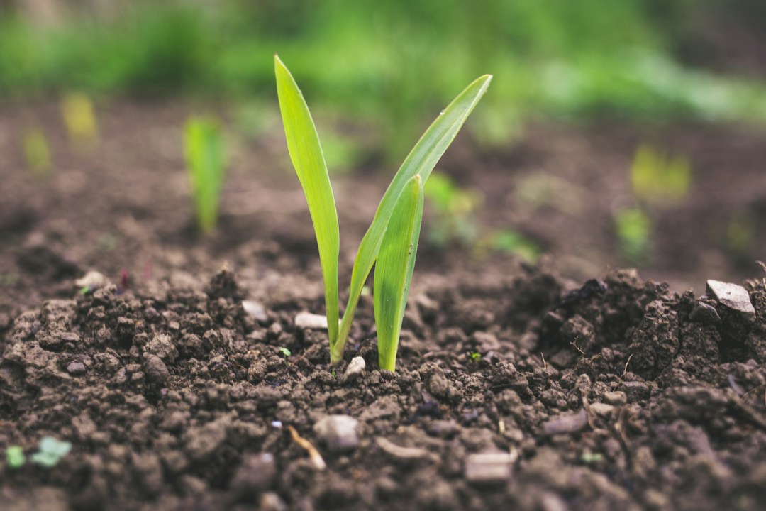 World Soil Day 2026 soil health agriculture and sustainable land