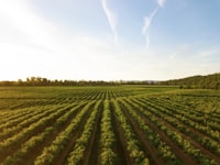 food agriculture - CareerSphere 2026