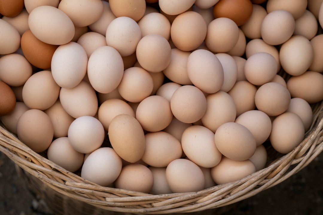 Fresh eggs for World Egg Day 2026 Protein that Powers and Protects