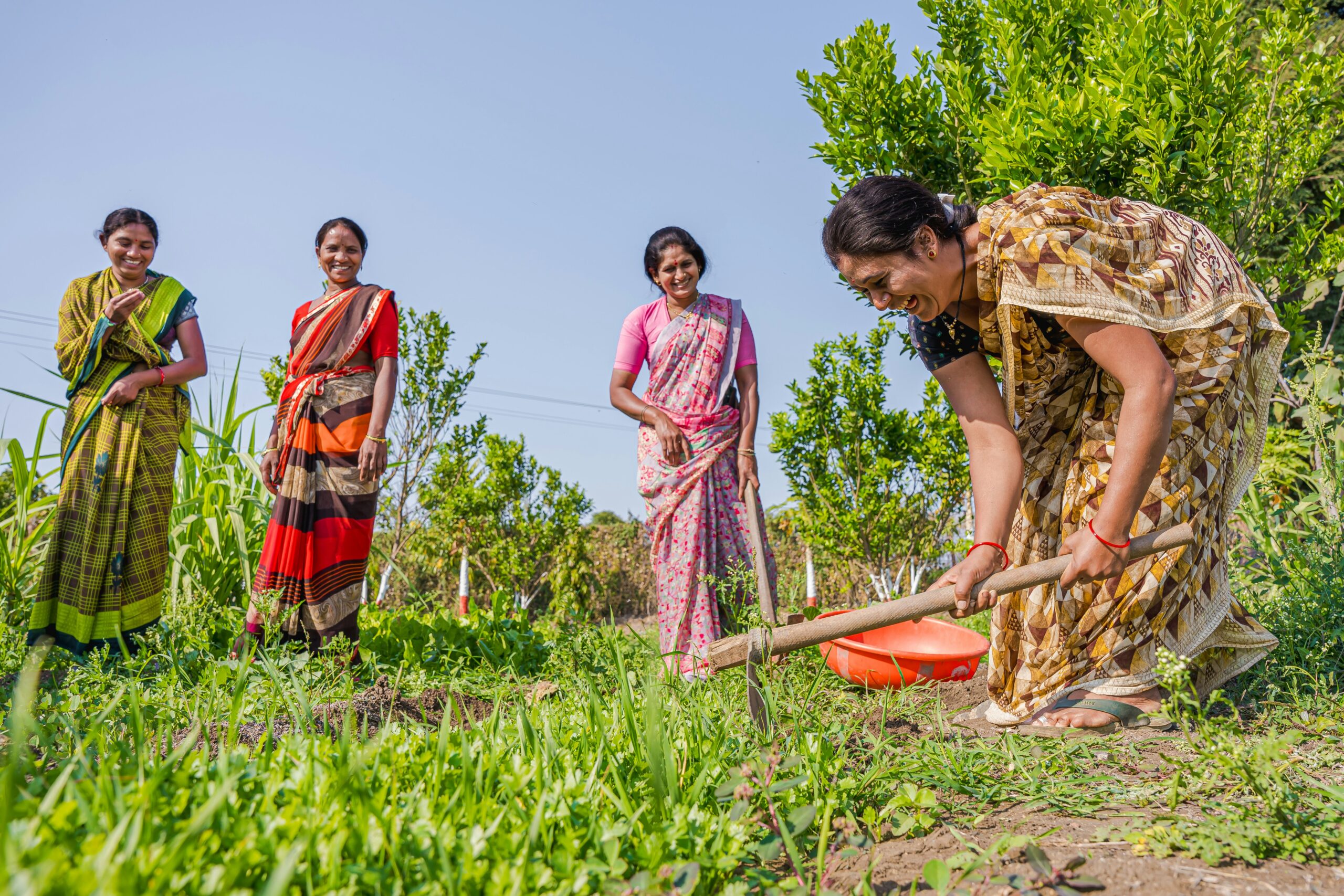 Horticulture farming and agricultural crops