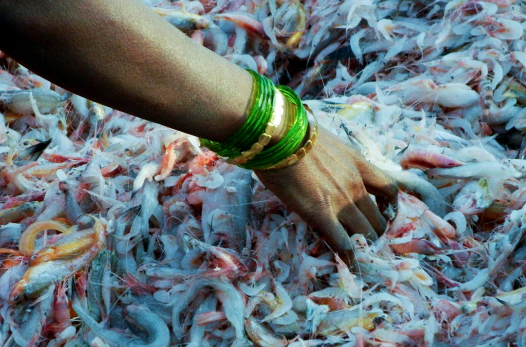 Freshwater fish held during fisheries and aquaculture work, illustrating the Bihar BTSC Fisheries Extension Officer recruitment