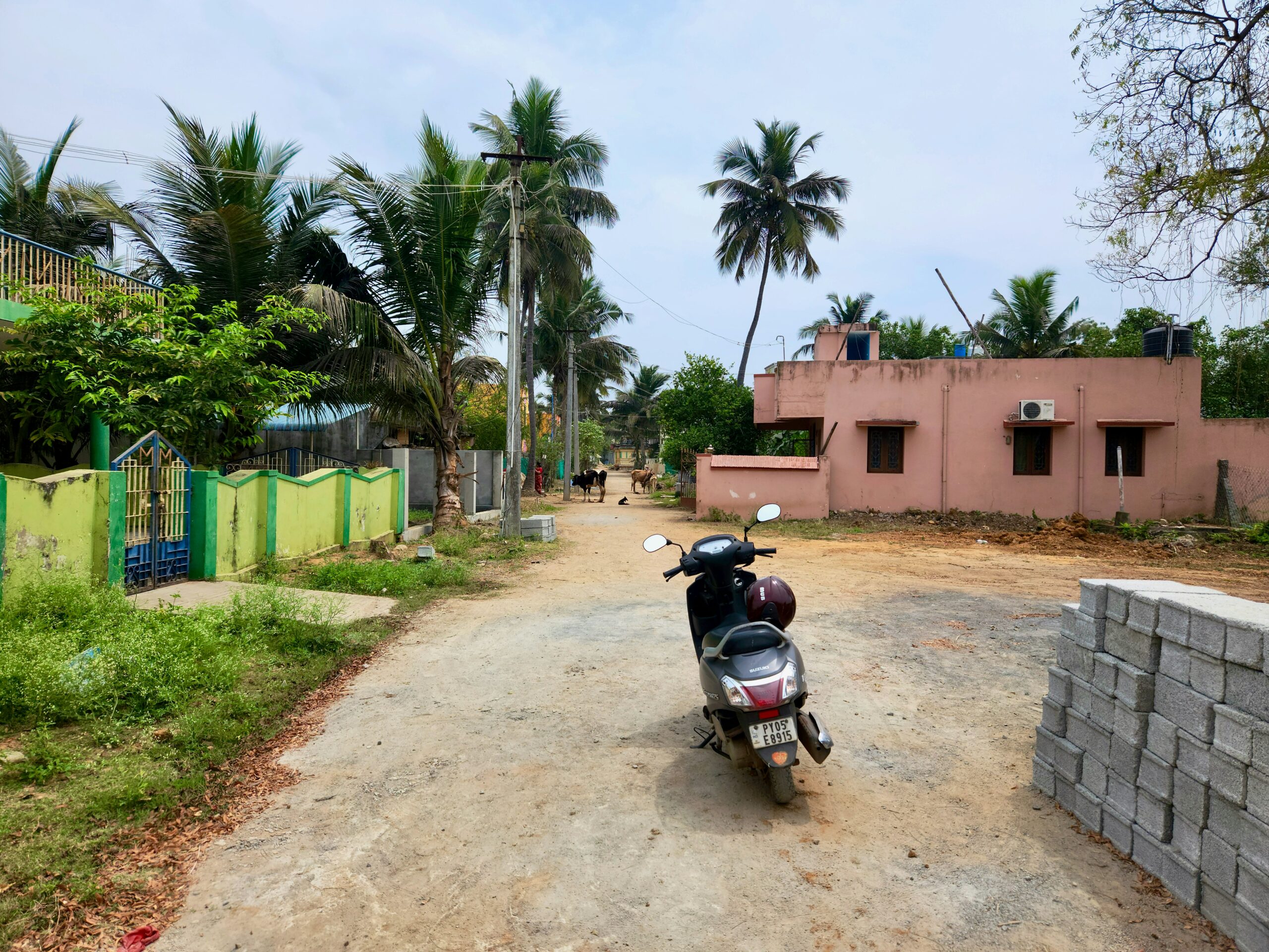Dharapuram Tamil Nadu by-election result 2026