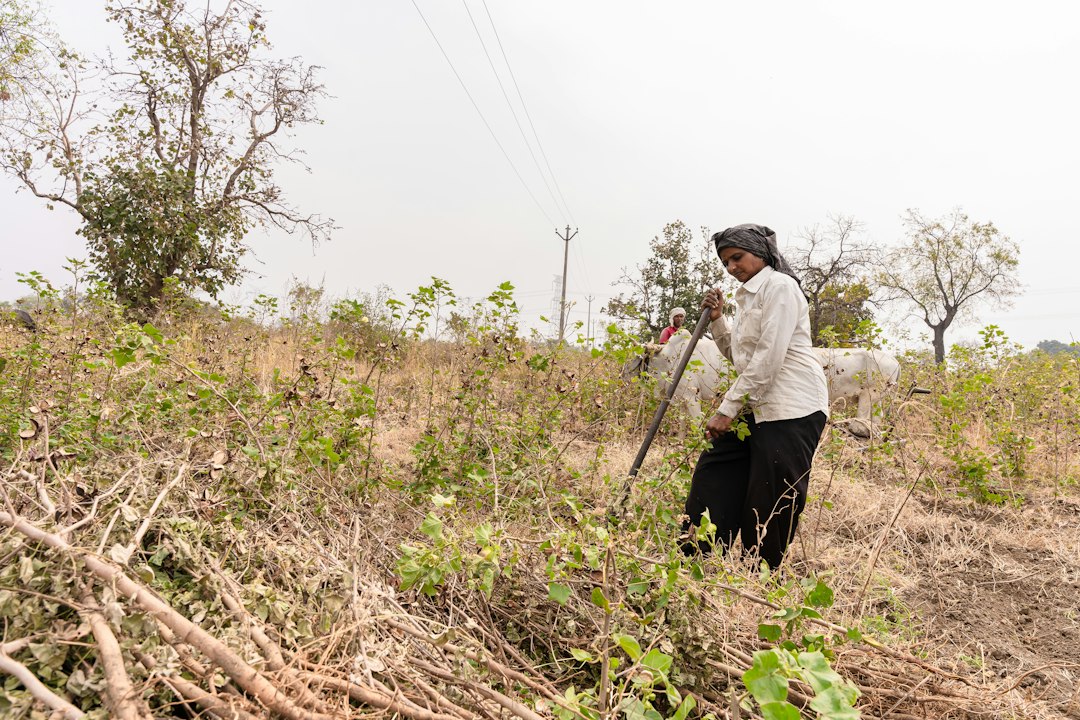 Field survey and data collection for MSME enumerator role