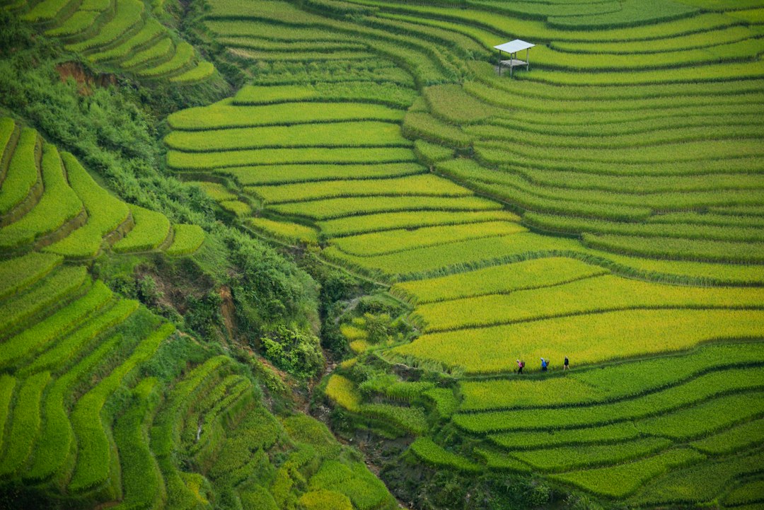 Himalayan agriculture landscape representing Agriculture Development Officer recruitment