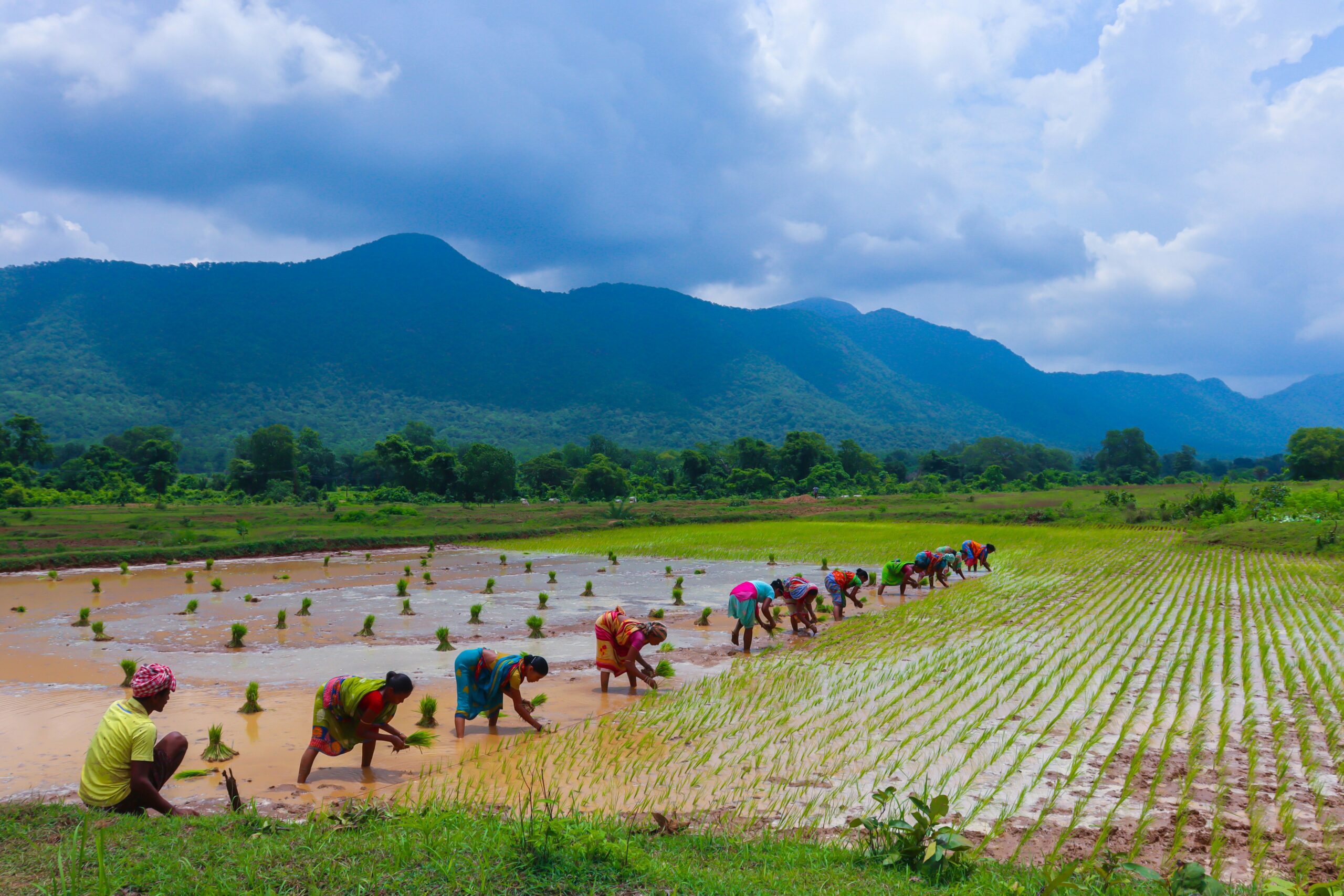 ICAR CRRI Agricultural Field Operator Recruitment 2026