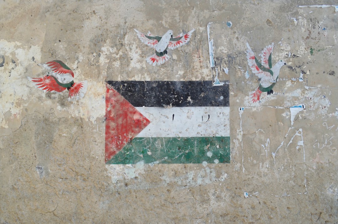 Palestinian flag and peace doves for International Day of Solidarity with the Palestinian People 2026