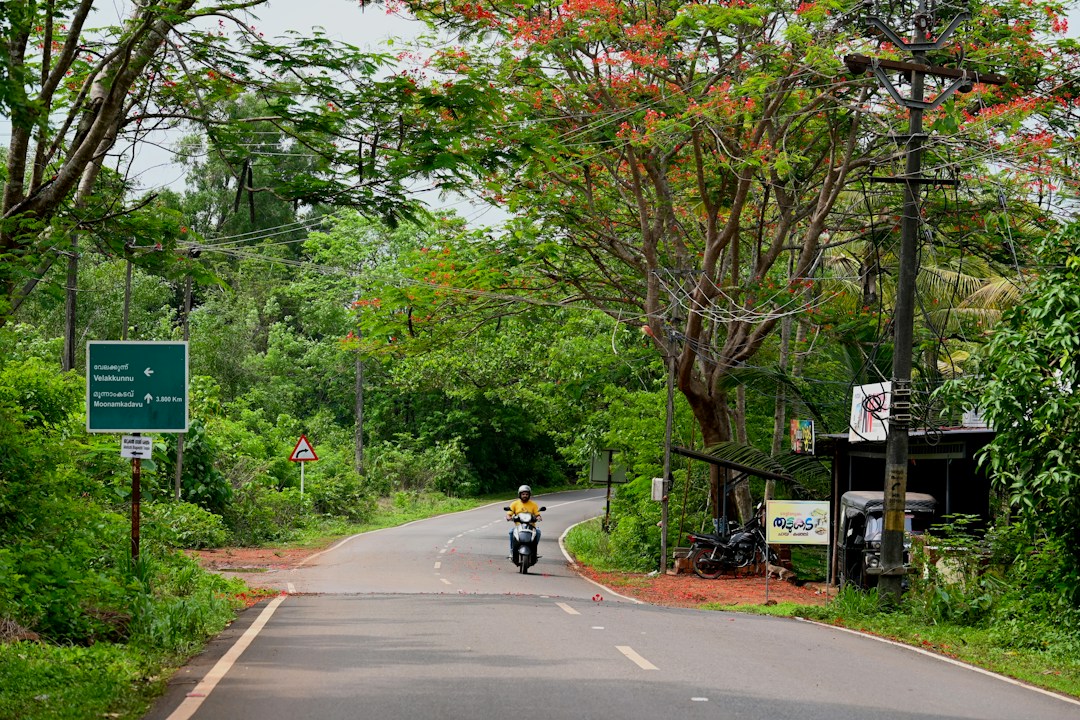 Kerala road landscape representing KSRRDA civil engineering apprenticeship opportunities