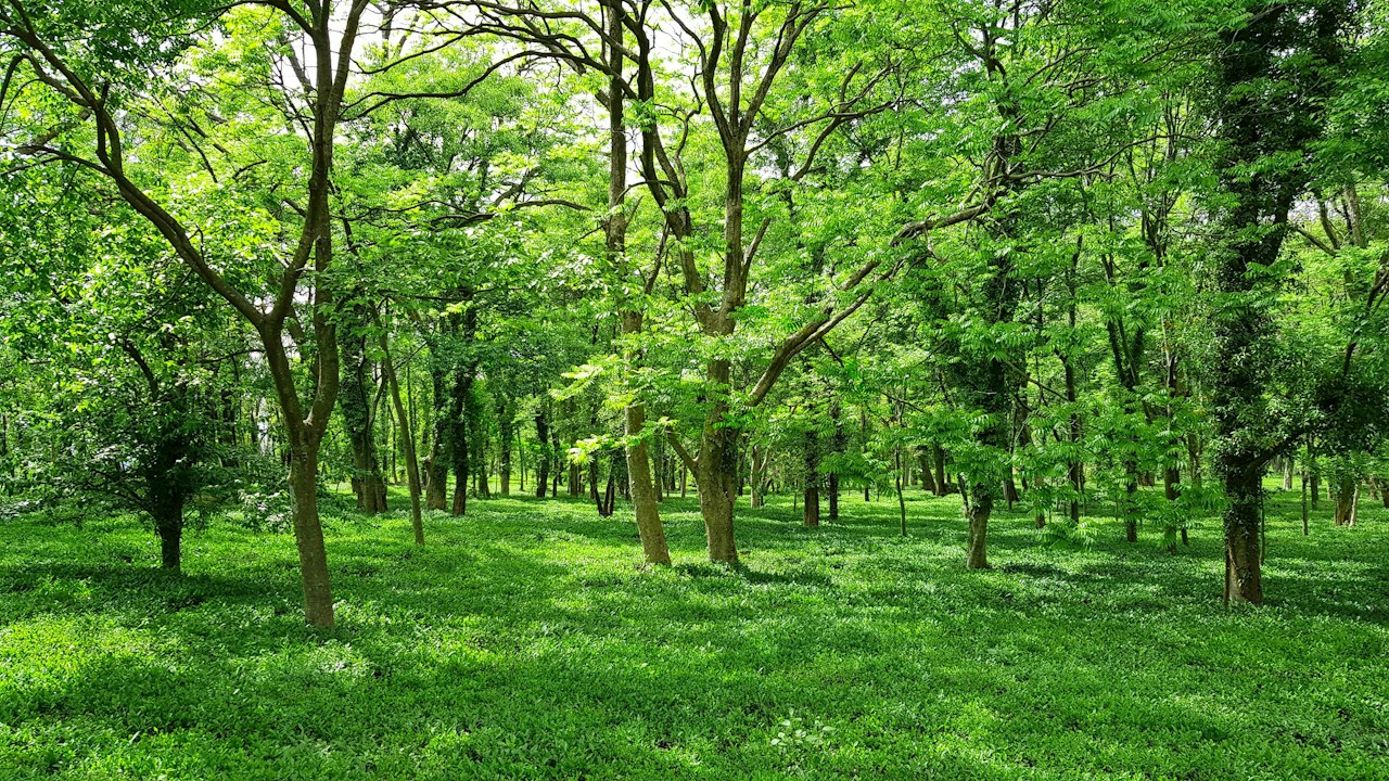 Karnataka Forest Watcher Recruitment 2026 featured image