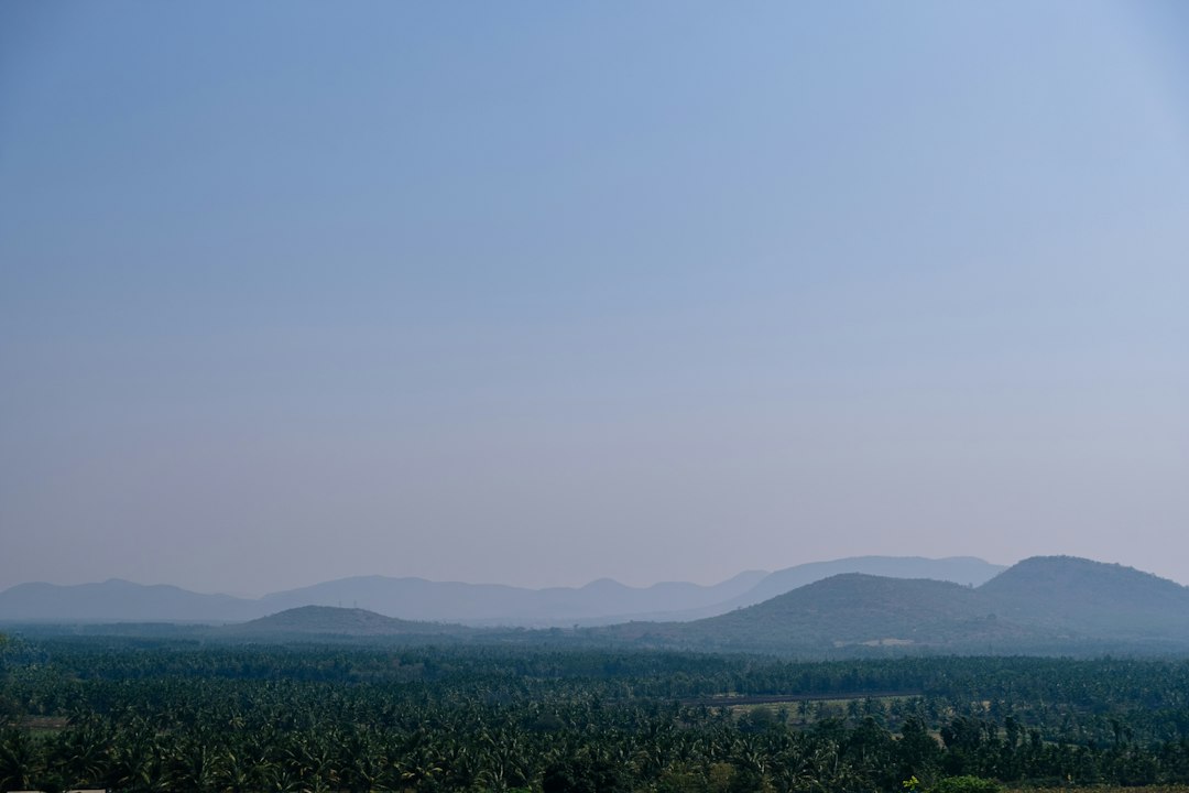 Forest landscape representing Karnataka Forest Watcher recruitment