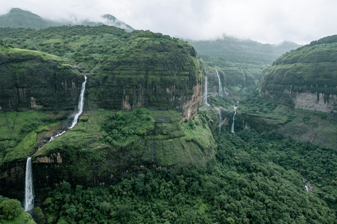 Lush green forest and cascading waterfalls representing Maredumilli Tourism Festival 2026