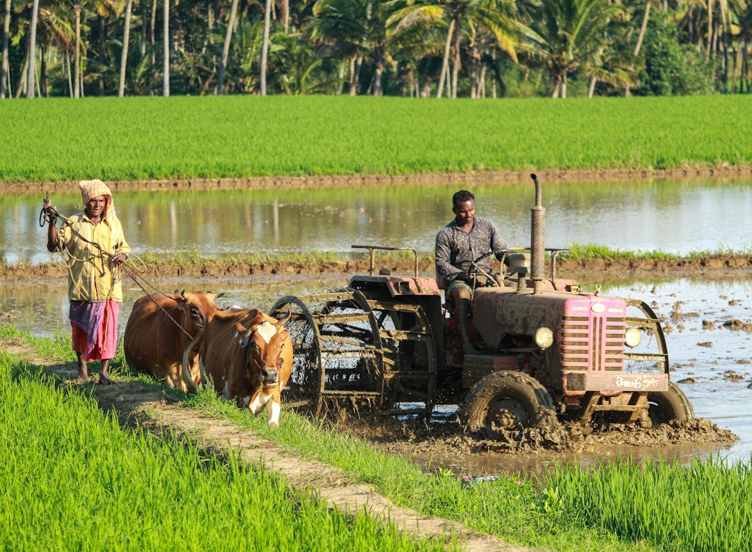 Indian farmer working in an agricultural field for National Farmers Day 2026