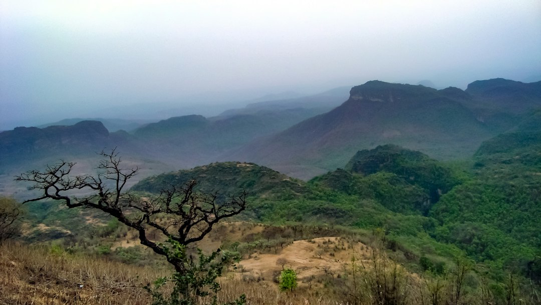 Pachmarhi hills in Madhya Pradesh representing Pachmarhi Utsav 2026