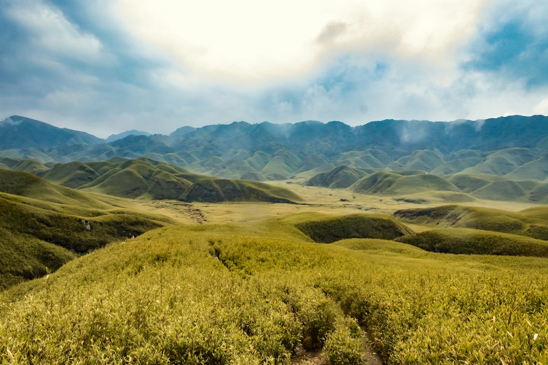 Nagaland mountain landscape representing Riine Festival 2026