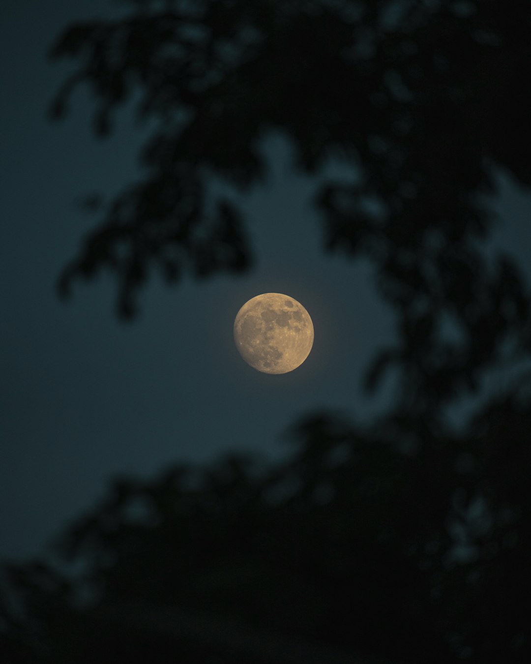 Full moon for Sharad Purnima 2026 wishes
