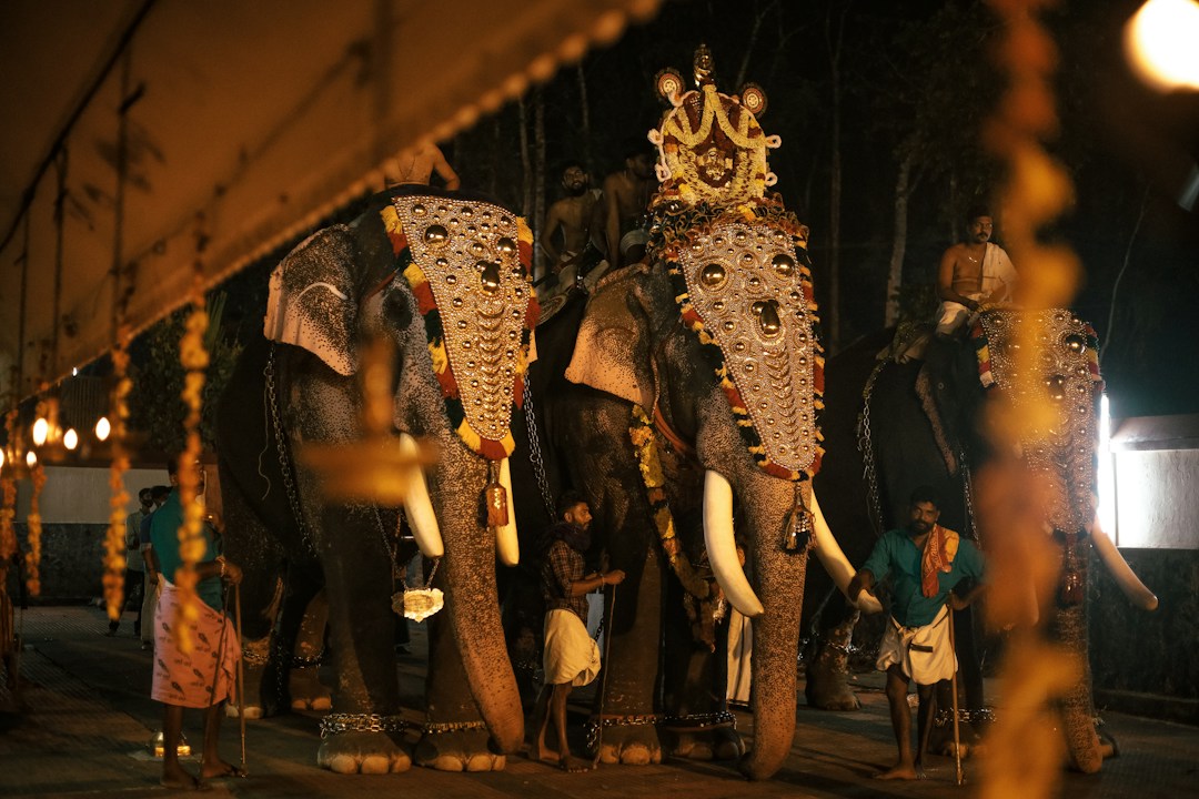Kerala temple festival scene representing Vaikathashtami 2026 at Vaikom