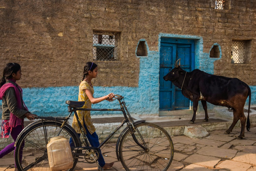Rural India setting representing district panchayat recruitment