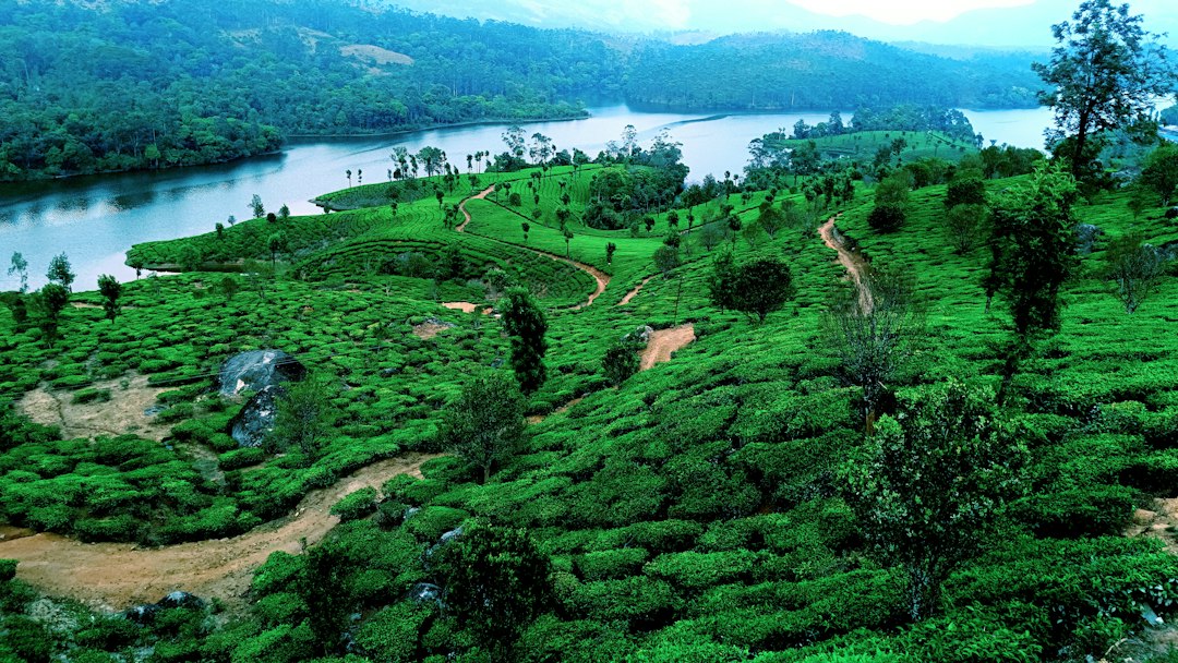 Kerala PSC Forest Boat Driver Recruitment 2026